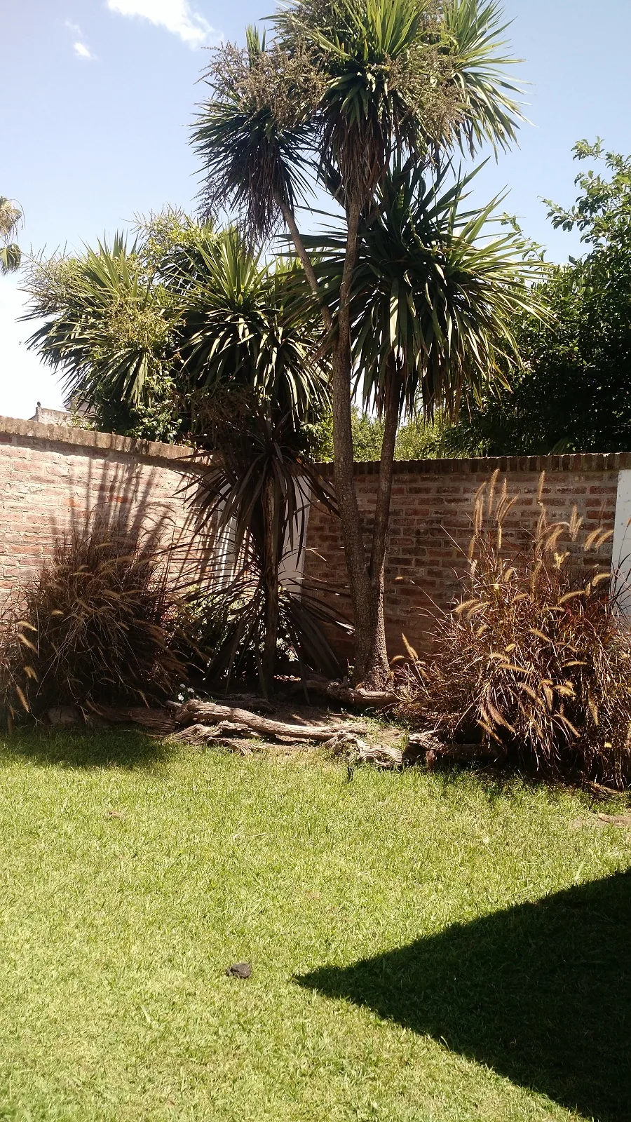 Instalaciones Centro Despertar Espiritual - foto 11